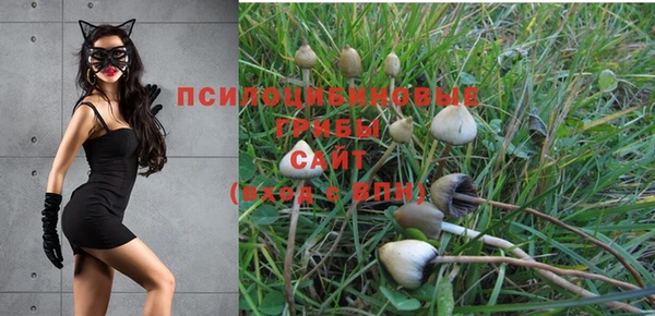 каннабис Абдулино