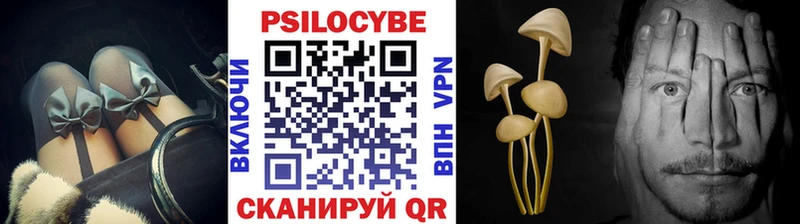 Галлюциногенные грибы Cubensis  где купить   Чегем 